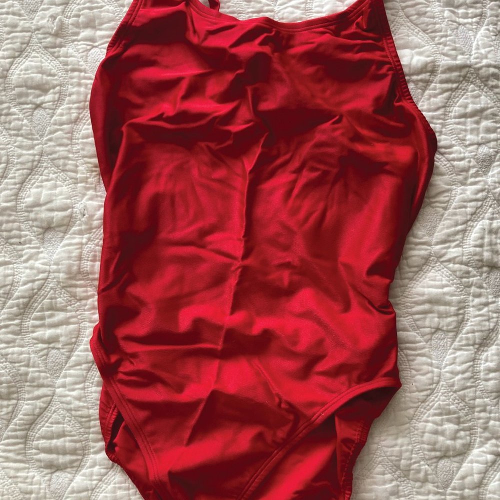 Dolphin One Piece Swim Suit